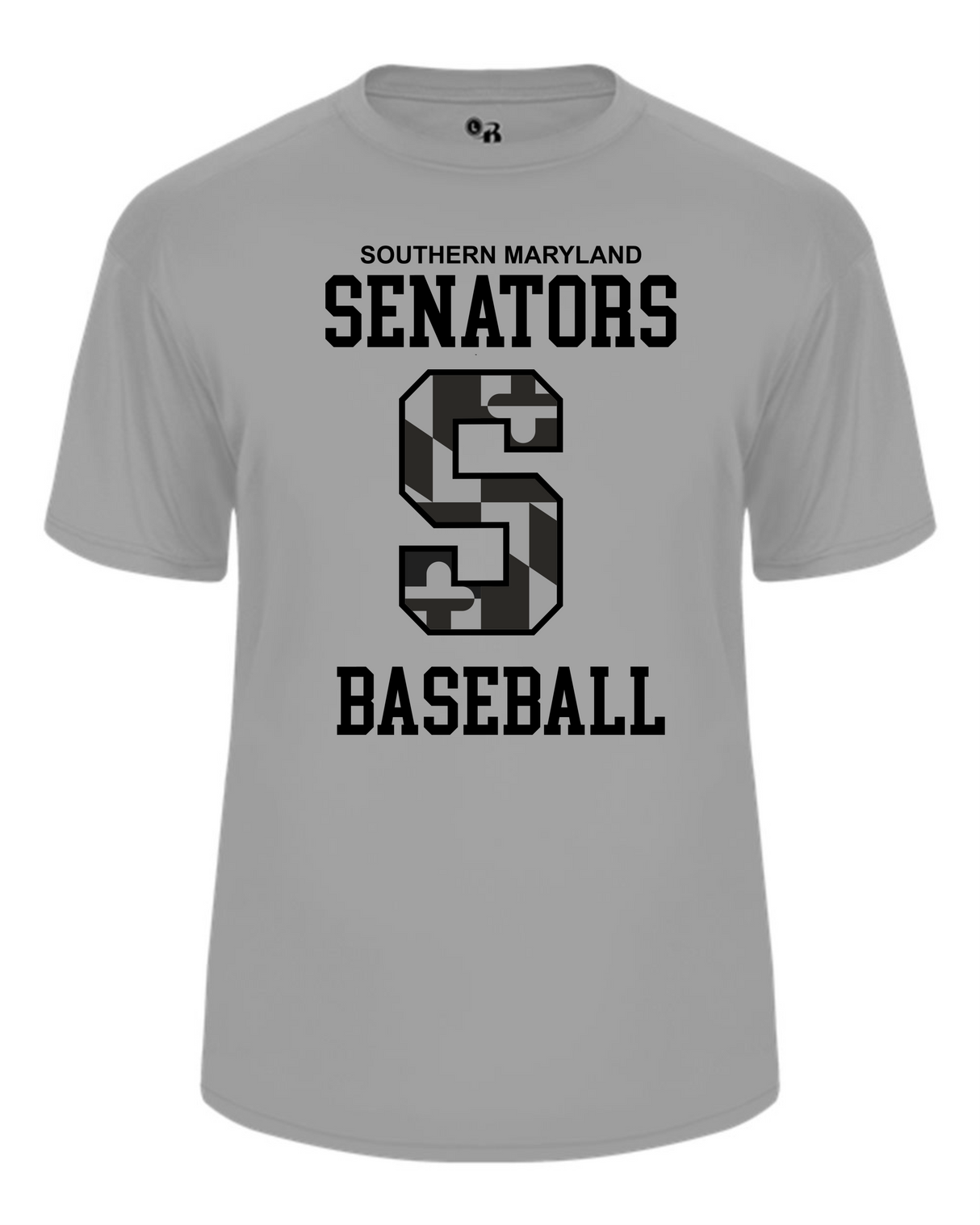 Senators Short Sleeve Dri-Fit Shirt Big S Design- Women