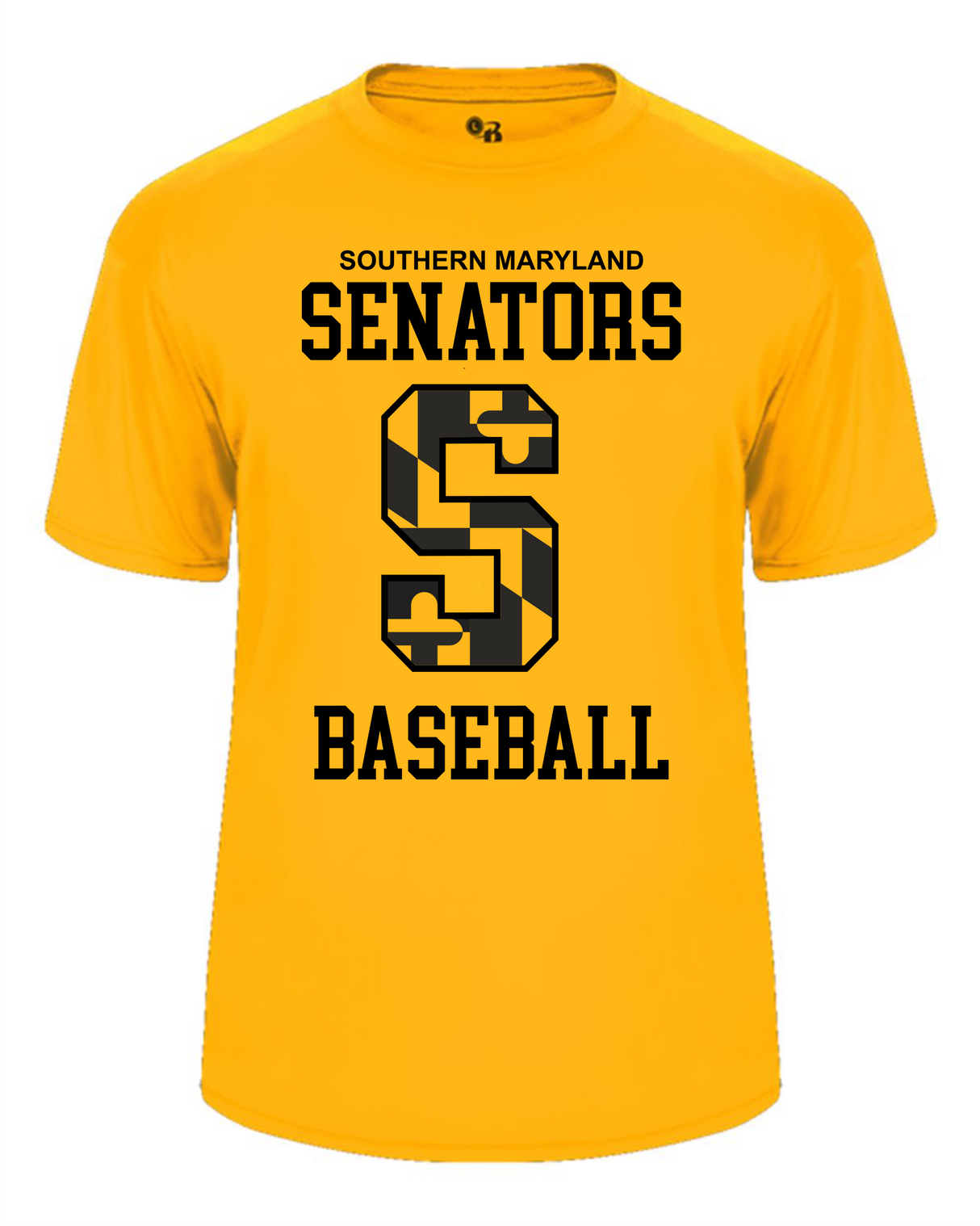 Senators Short Sleeve Dri-Fit Shirt Big S Design- Women