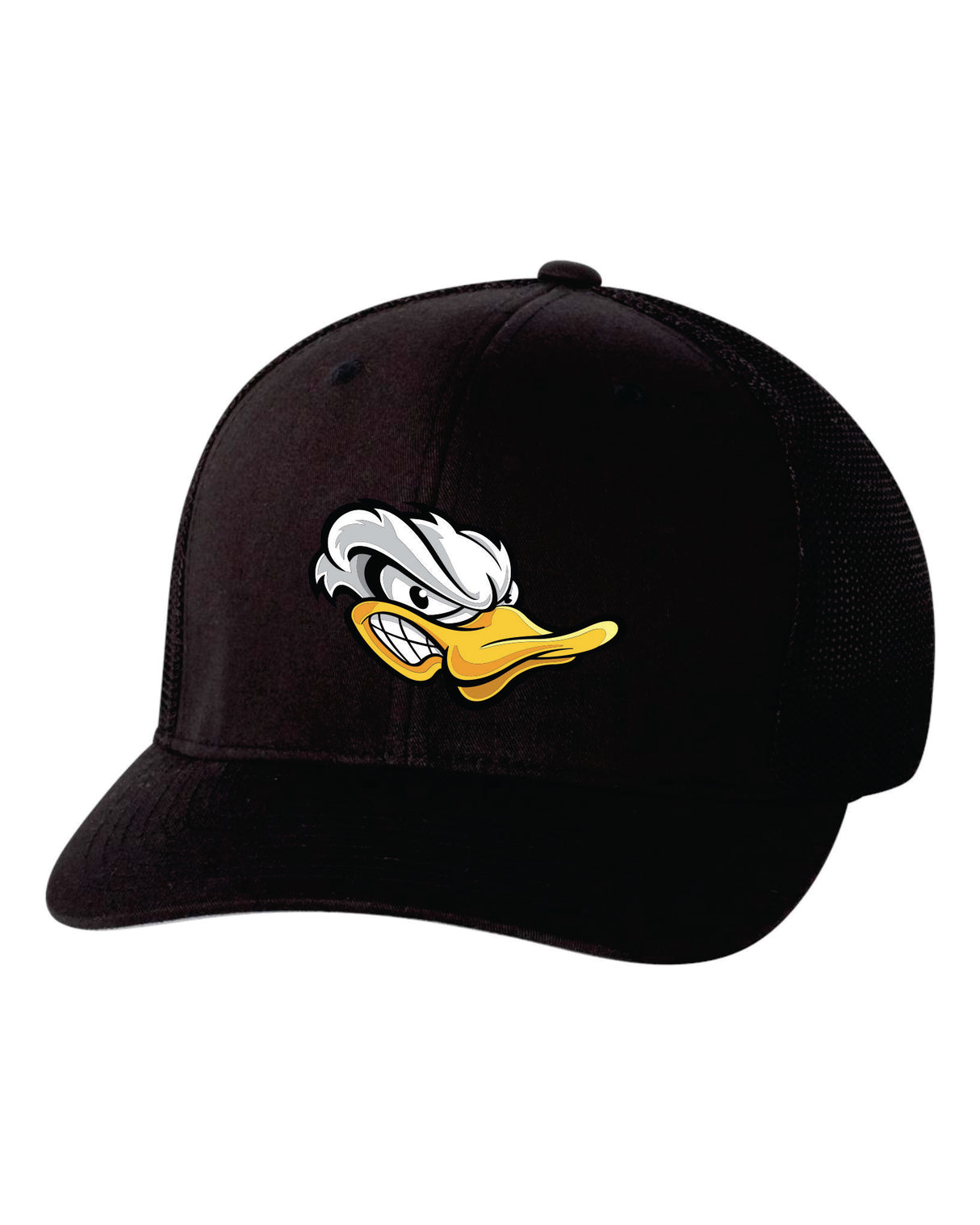 Ducks Baseball hat Snap Back
