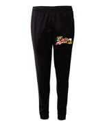 Load image into Gallery viewer, Fury Badger Jogger Pants Dri Fit
