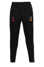 Load image into Gallery viewer, Senators Badger Trainer Pants - 3 colors available
