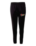 Load image into Gallery viewer, Havoc Badger Jogger Pants Dri Fit-YOUTH
