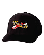 Load image into Gallery viewer, Fury Baseball Snap Back Hat
