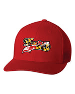 Load image into Gallery viewer, Fury Baseball Snap Back Hat
