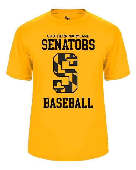 Senators Short Sleeve Dri-Fit Shirt  Big S Design-  Women