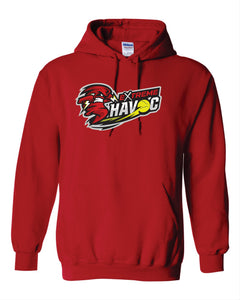 Havoc Cotton/poly 50/50 blend Hoodie YOUTH