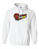 Load image into Gallery viewer, Havoc Cotton/poly 50/50 blend Hoodie YOUTH
